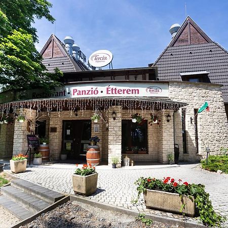 Tercia Hubertus Panzio Bed and Breakfast Sopron Eksteriør billede
