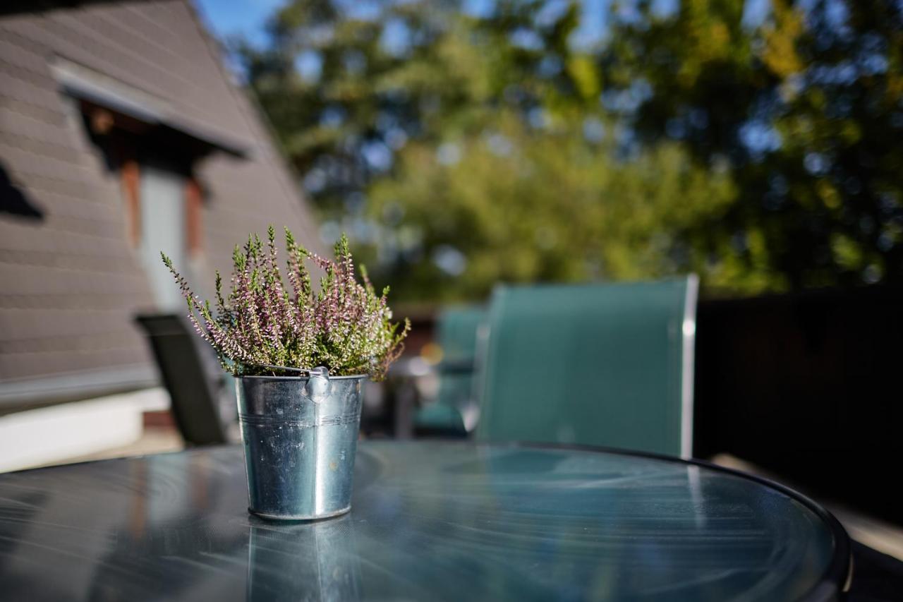 Tercia Hubertus Panzio Bed and Breakfast Sopron Eksteriør billede