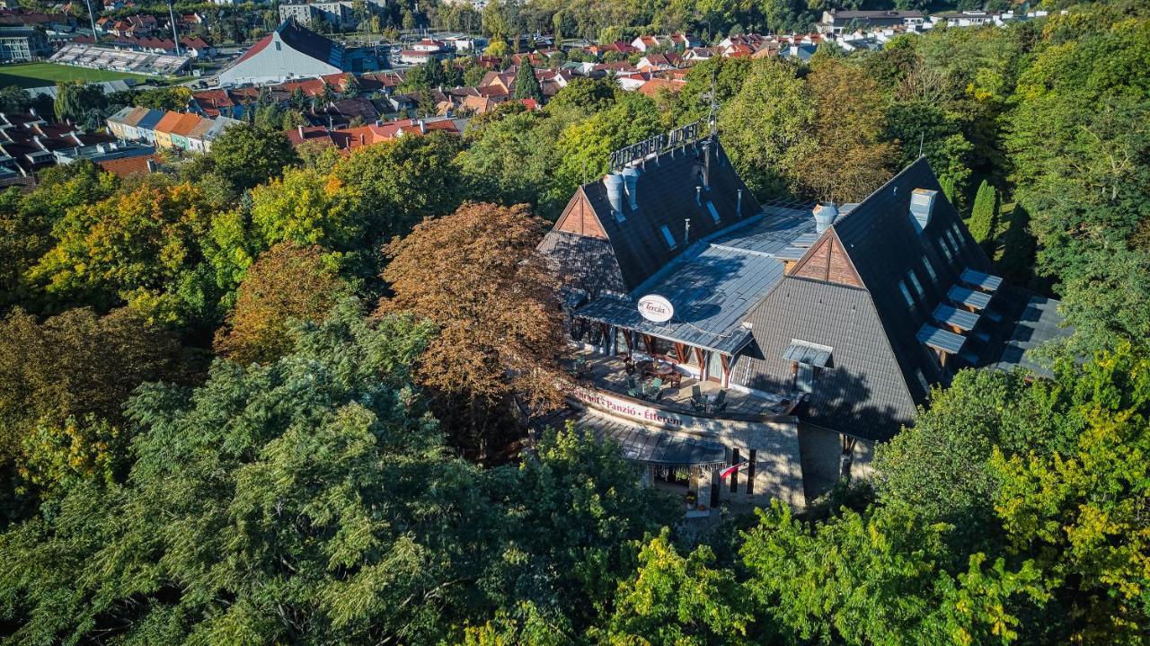 Tercia Hubertus Panzio Bed and Breakfast Sopron Eksteriør billede