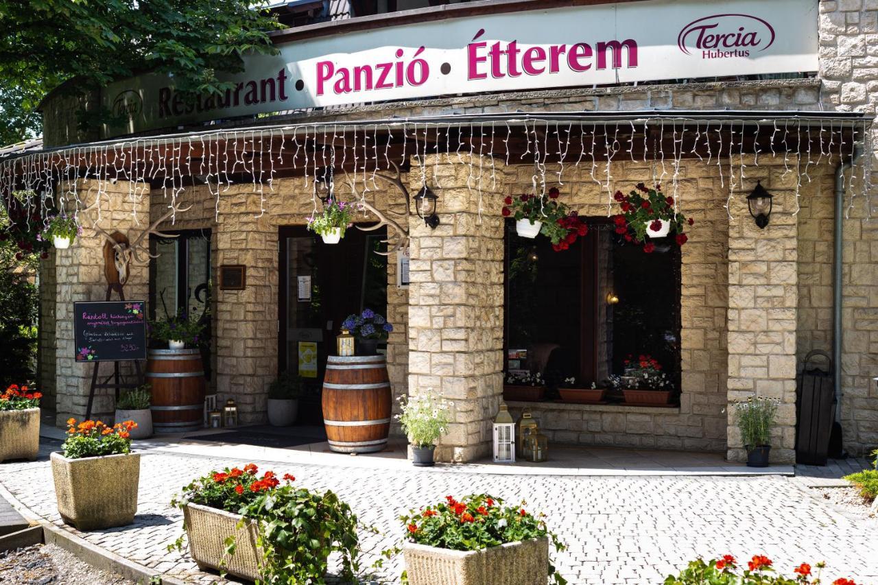 Tercia Hubertus Panzio Bed and Breakfast Sopron Eksteriør billede