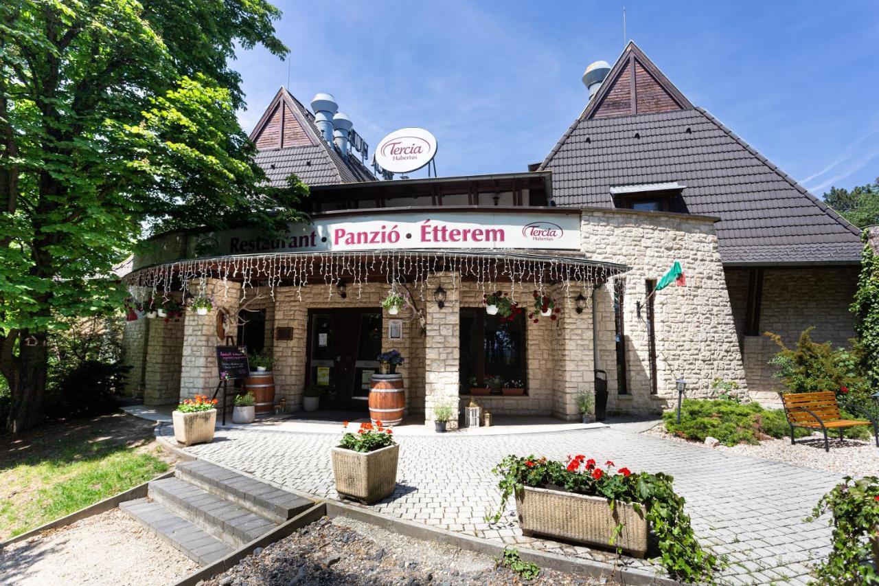 Tercia Hubertus Panzio Bed and Breakfast Sopron Eksteriør billede