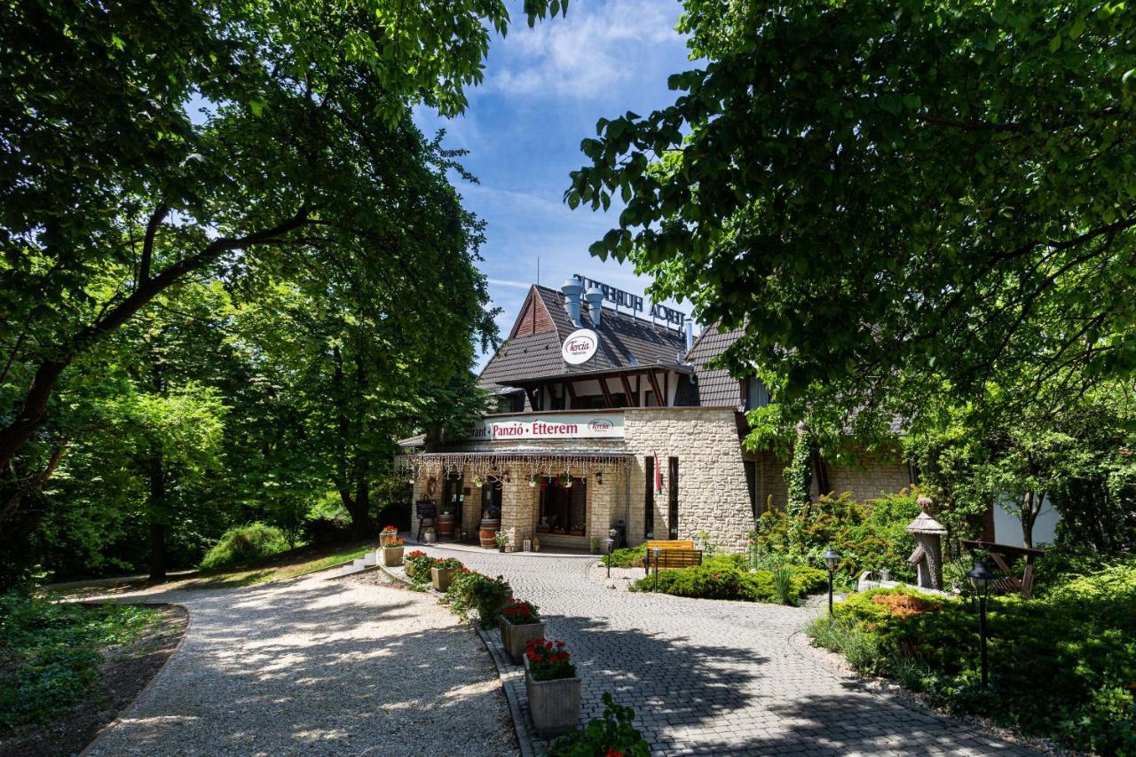 Tercia Hubertus Panzio Bed and Breakfast Sopron Eksteriør billede