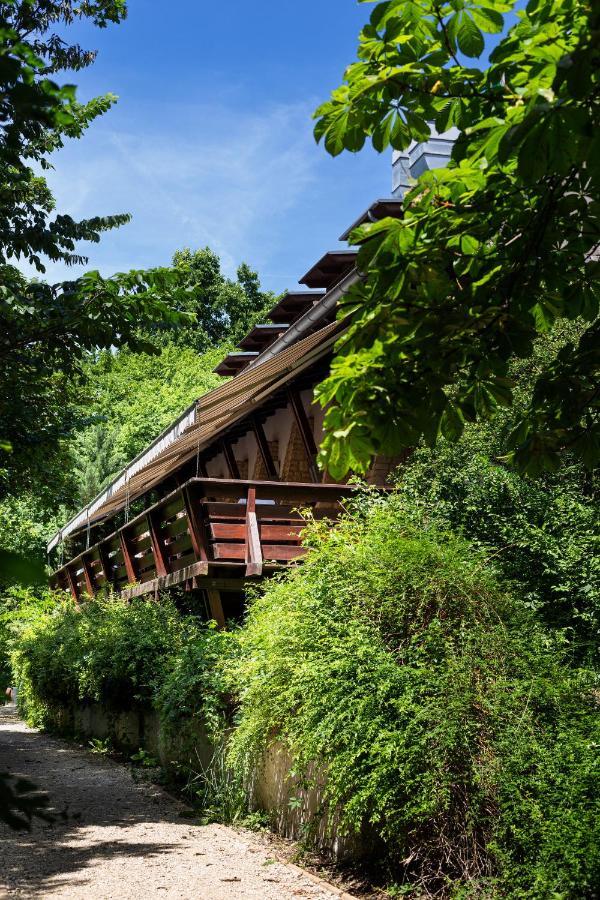 Tercia Hubertus Panzio Bed and Breakfast Sopron Eksteriør billede